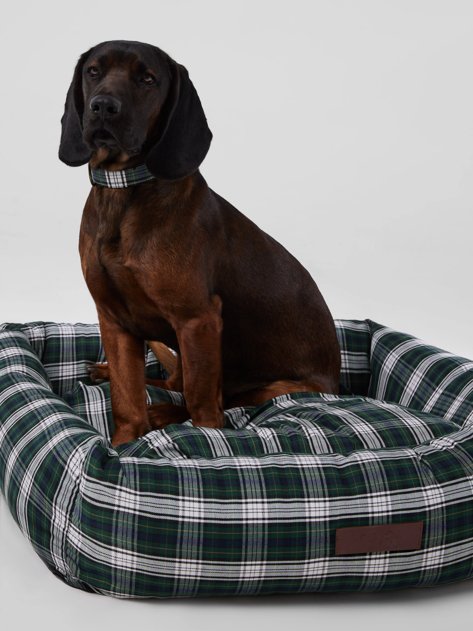 Cama grande perro SILBONxLADRANGAUCHO tartan - Image 3
