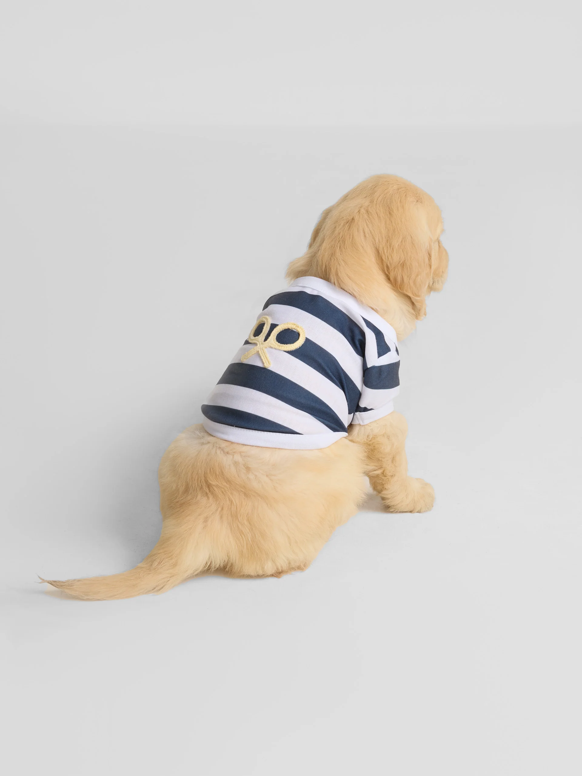 Camiseta mascotas nautica azul marino - Image 4