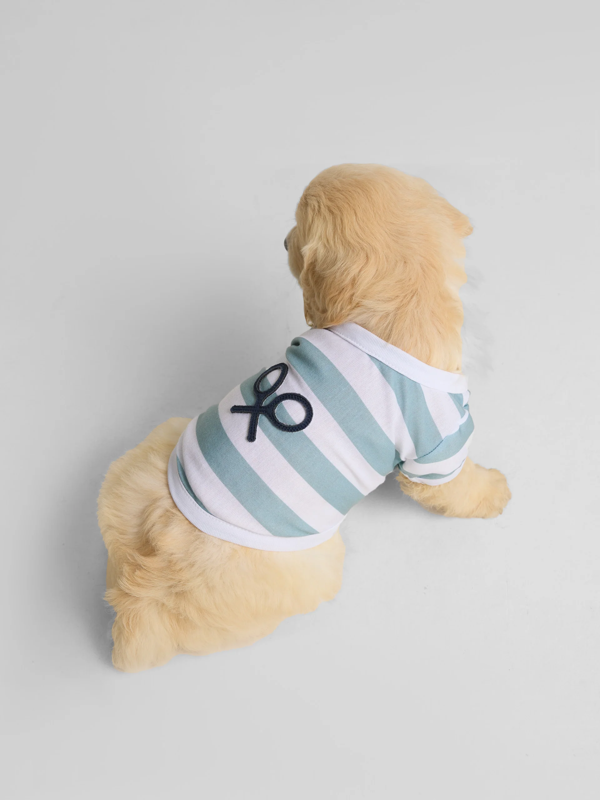 Camiseta mascotas nautica verde - Image 4