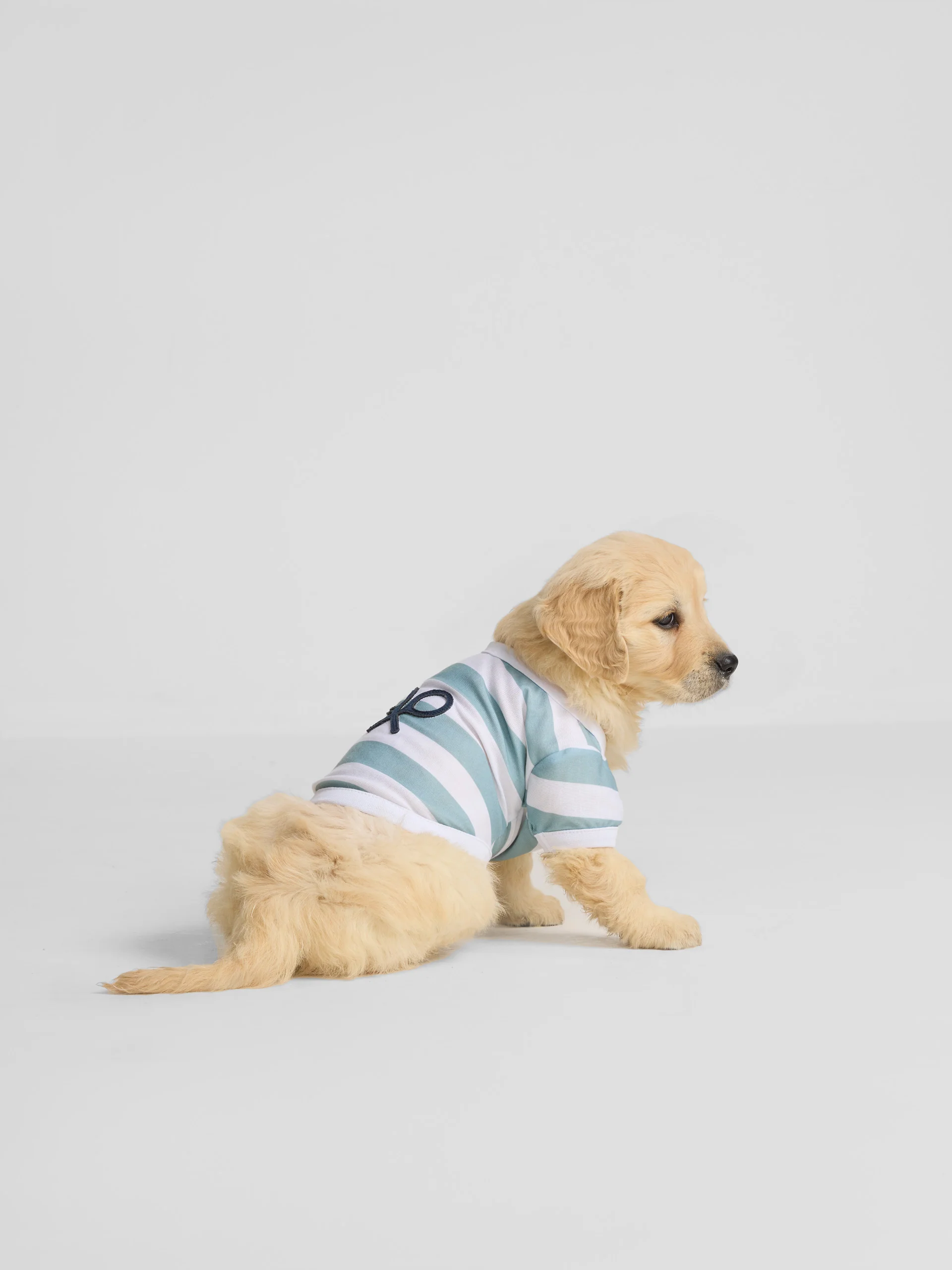 Camiseta mascotas nautica verde - Image 5