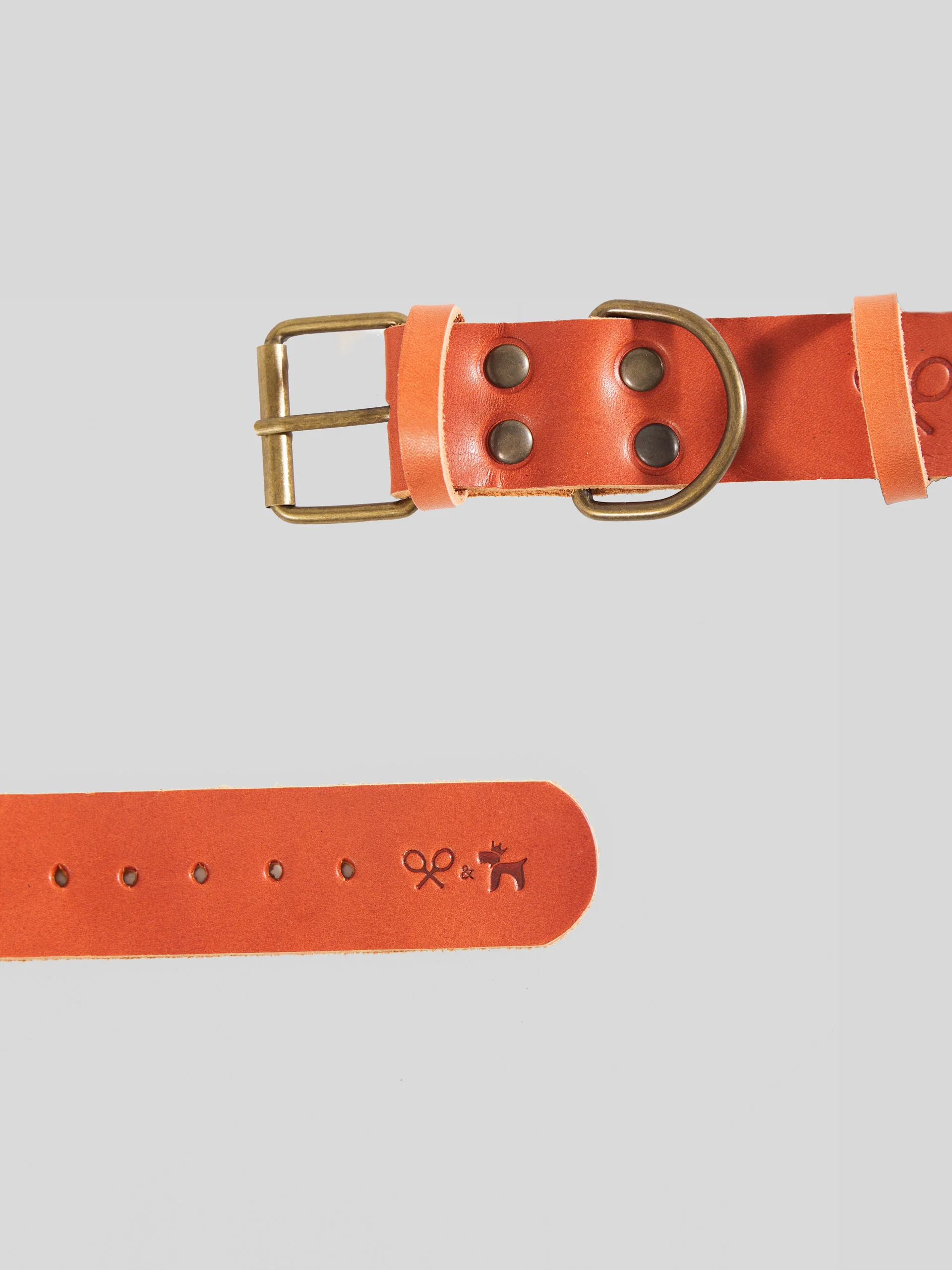 Collar perro SILBONxLADRANGAUCHO cuero - Image 6