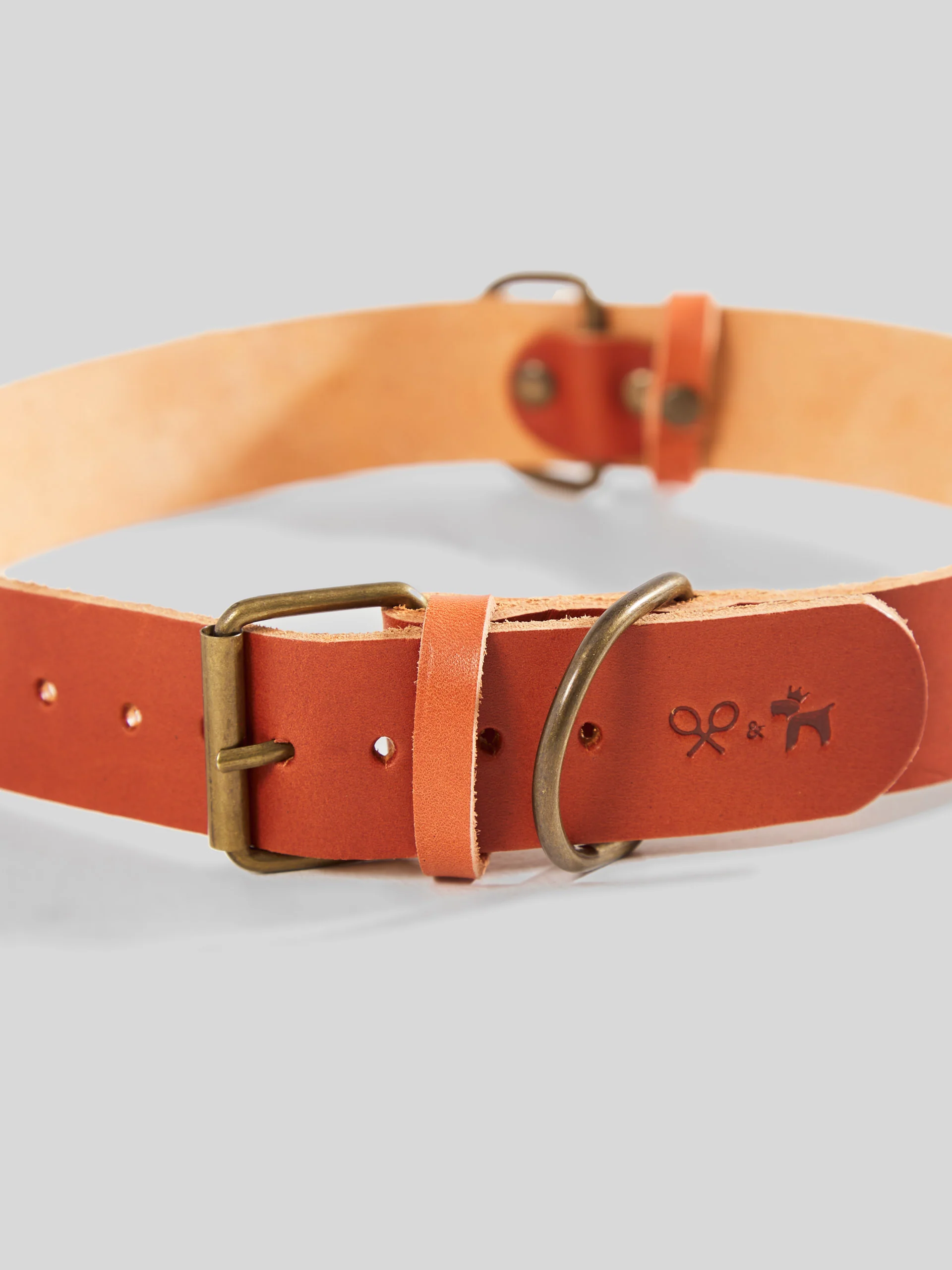 Collar perro SILBONxLADRANGAUCHO cuero - Image 7