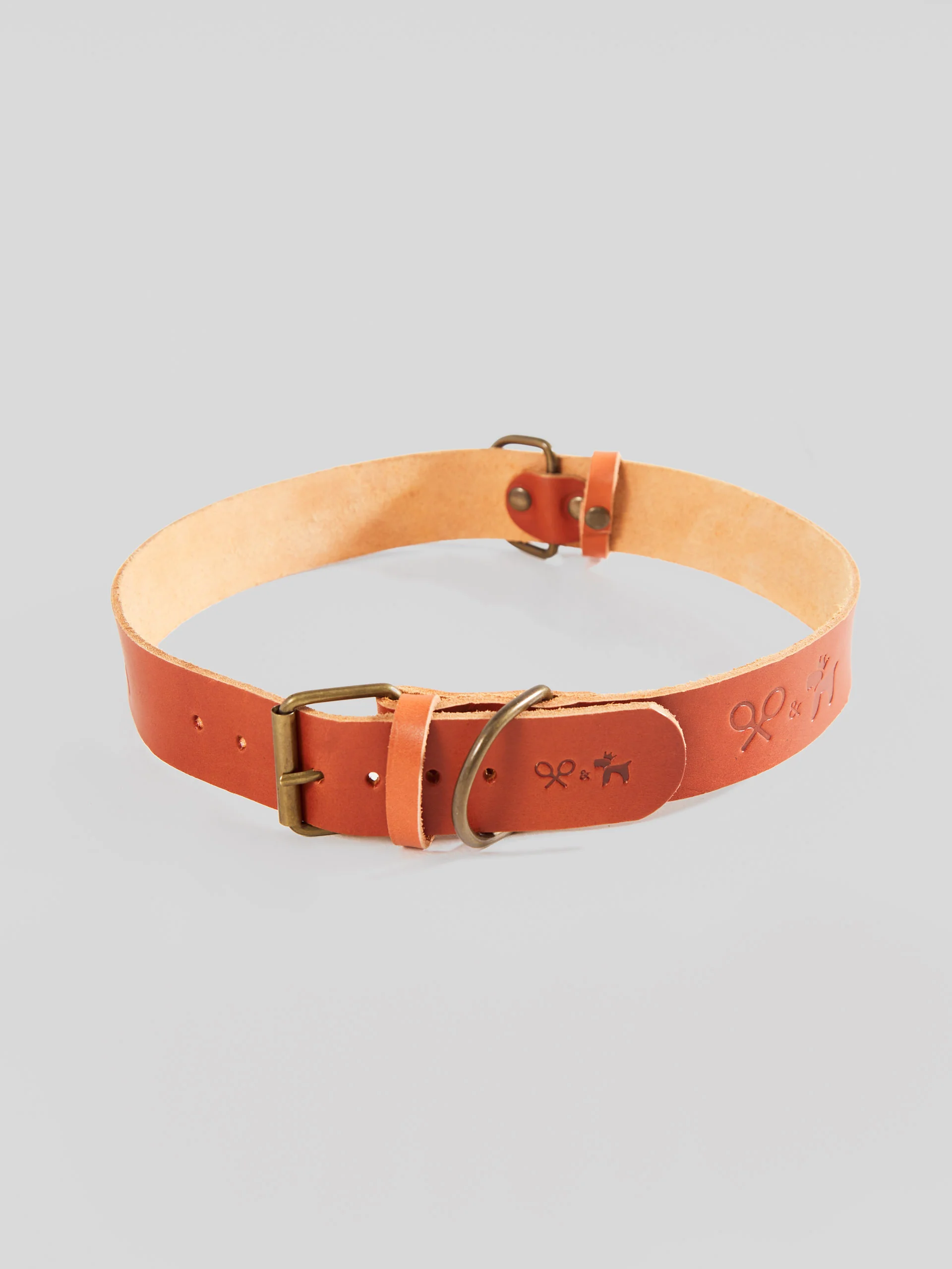 Collar perro SILBONxLADRANGAUCHO cuero - Image 8