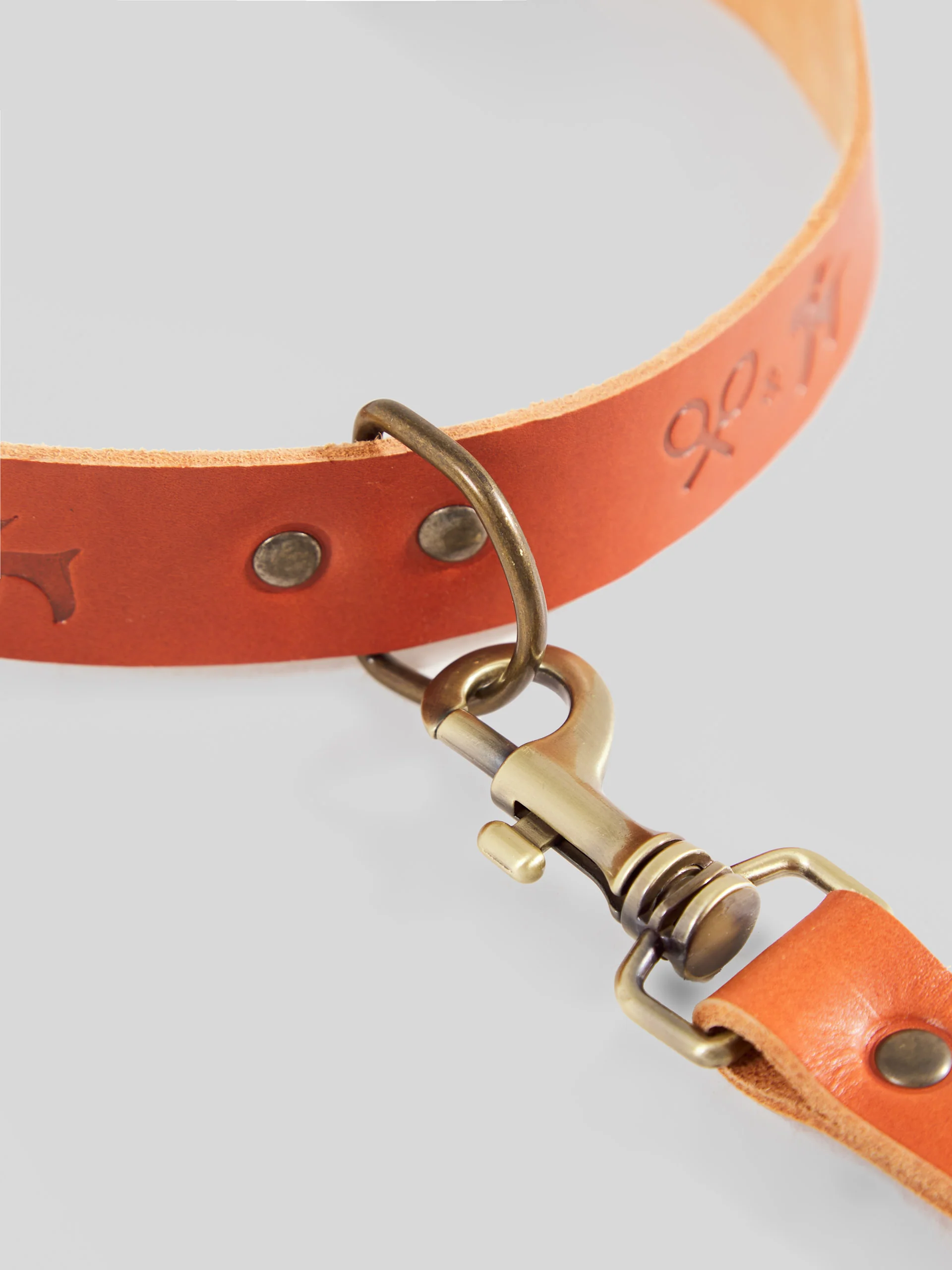 Collar perro SILBONxLADRANGAUCHO cuero - Image 9